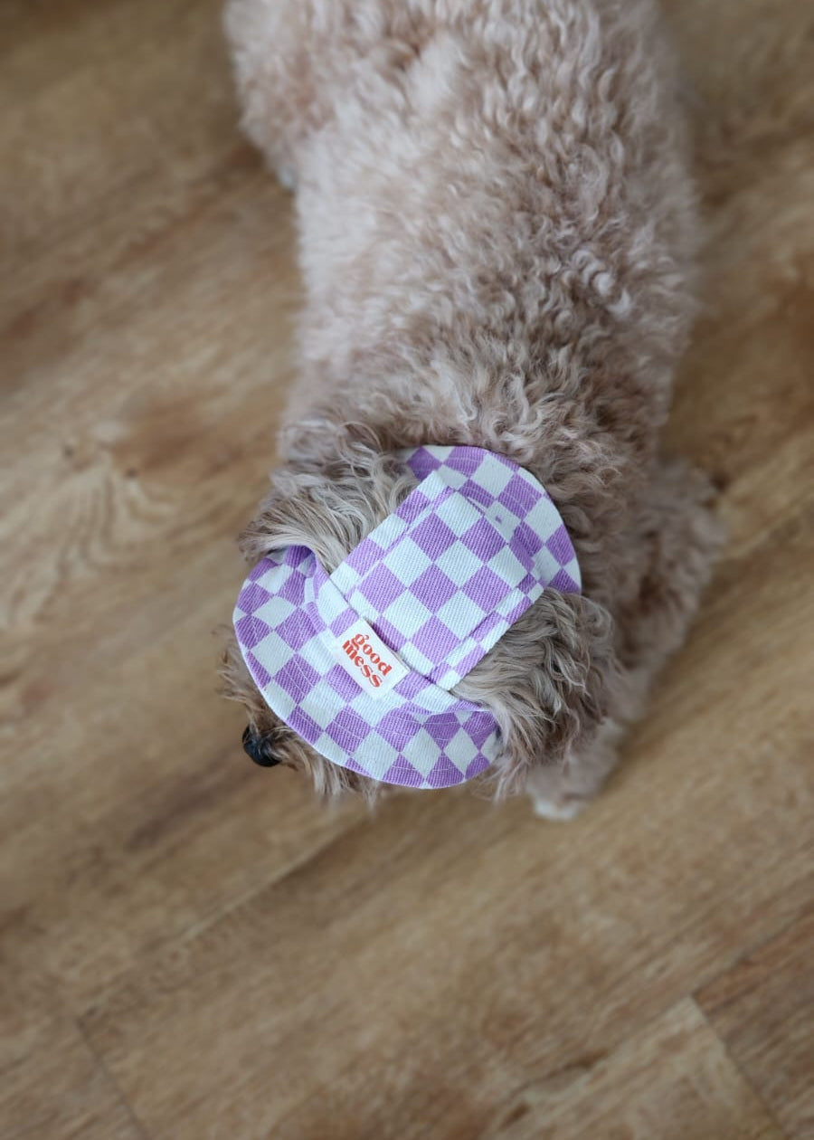 Twinning Checkered Pet Hat