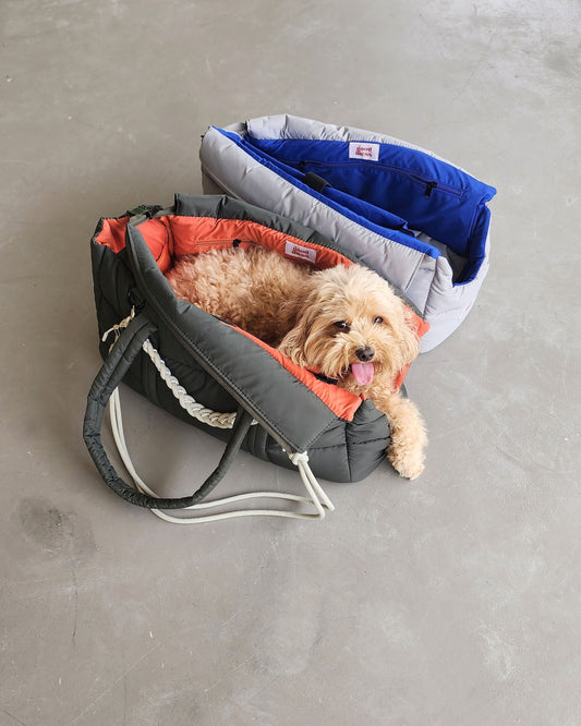 The Four Types of Pet Carriers Explained