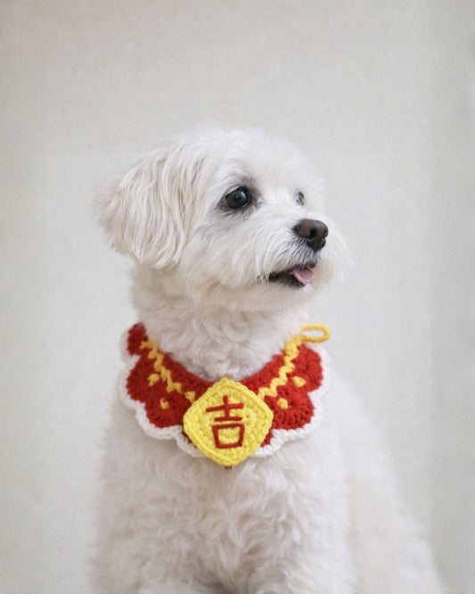 Pet Crochet Collar Lucky style