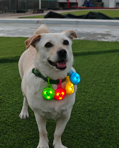 LaRoo Glow Pup Smiley LED Pet Charm