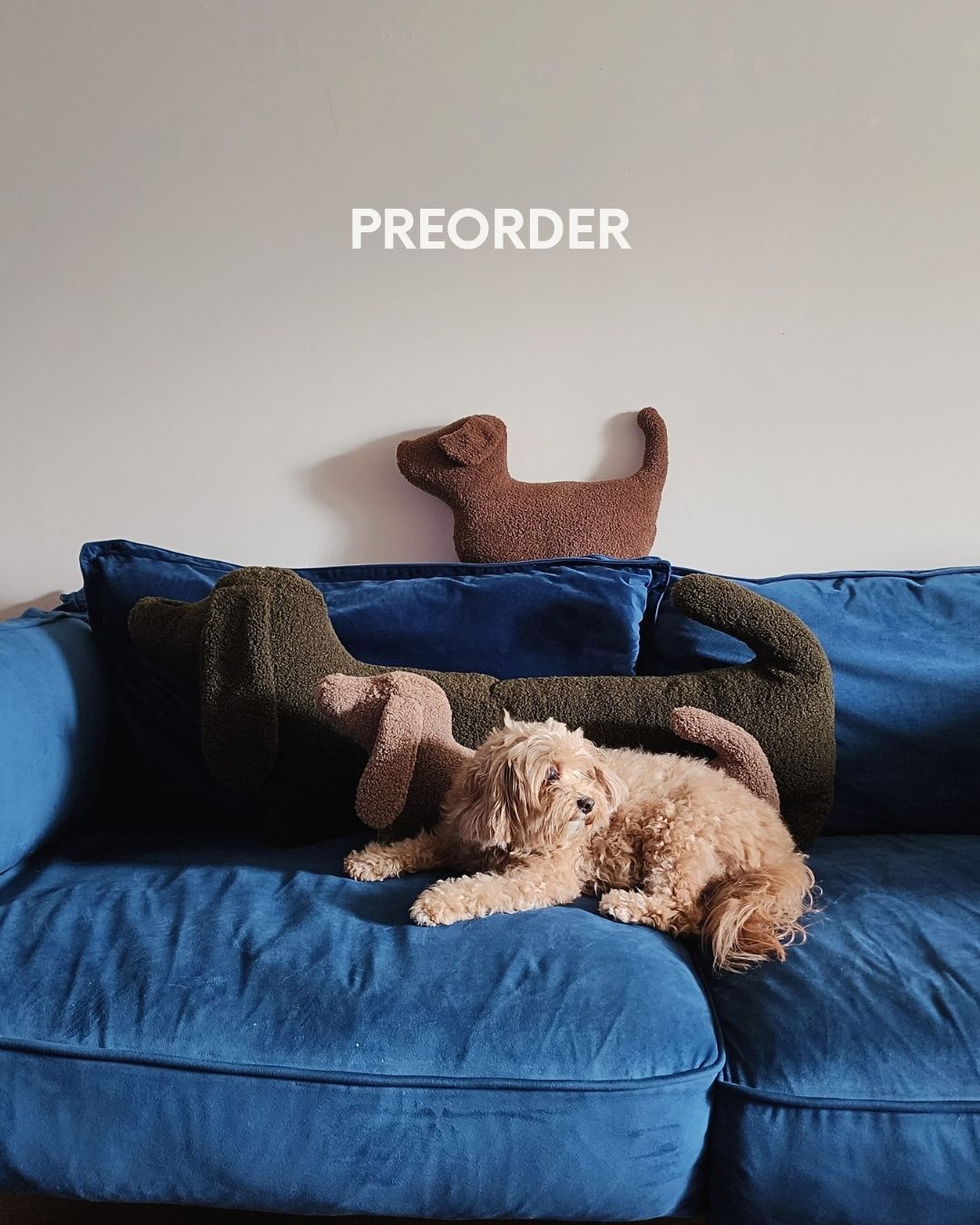 SNOOTY DACHSHUND Plush Pillow