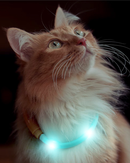 LaRoo Luna F33 LED Pet Collar