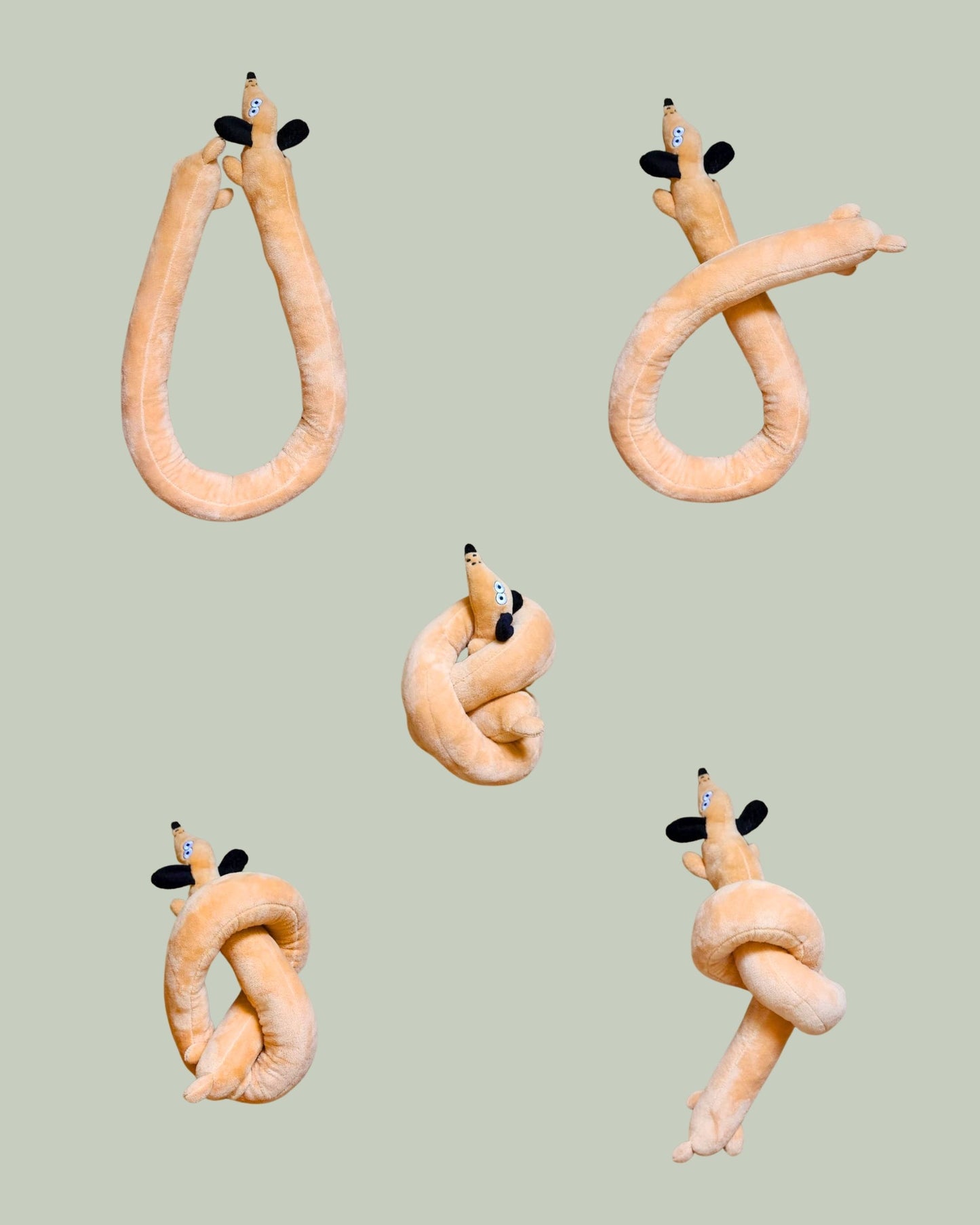 KNOTTY DACHSHUND Dog Toy