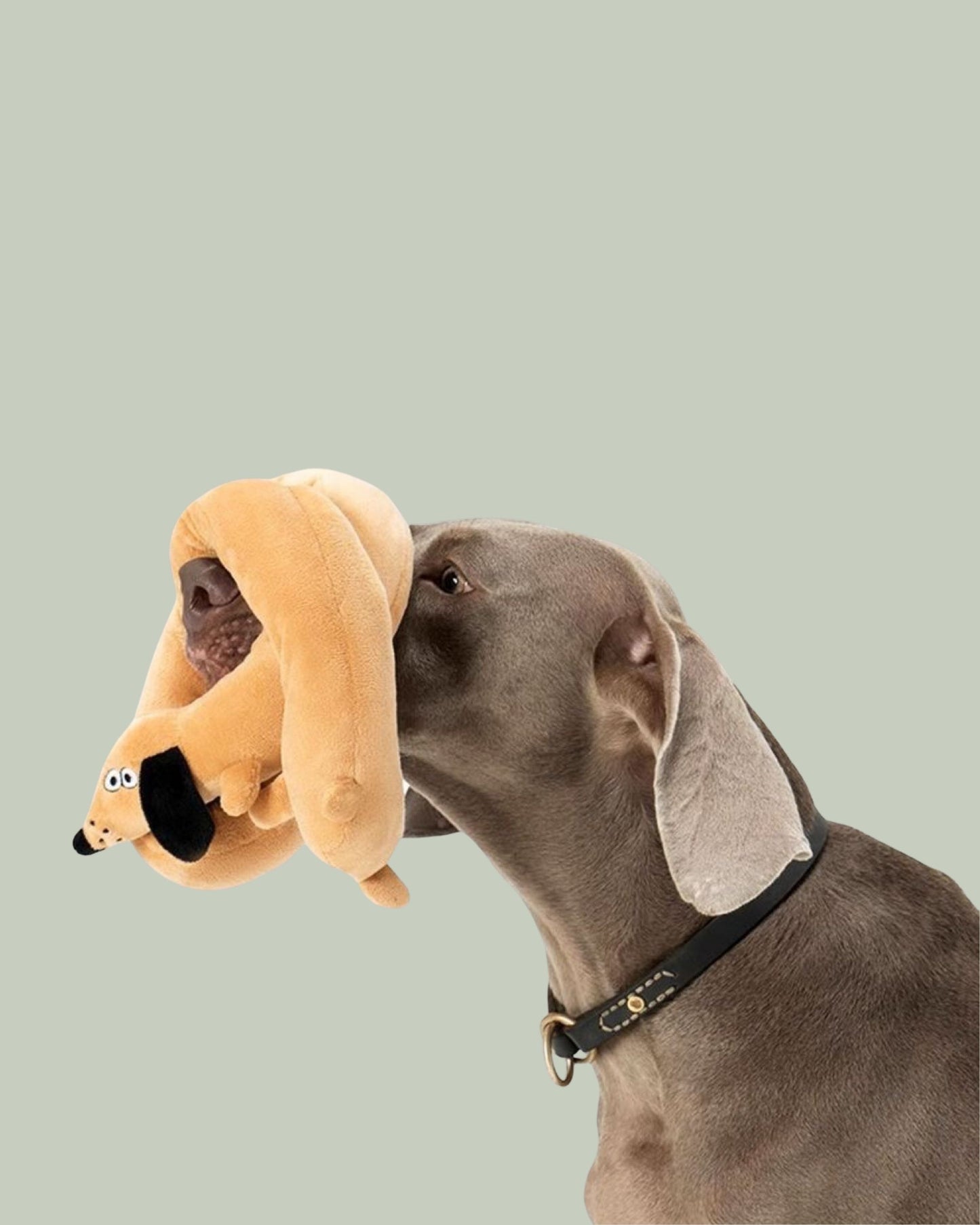 KNOTTY DACHSHUND Dog Toy