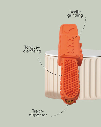 Eco-Friendly Dog Teeth-Grinder