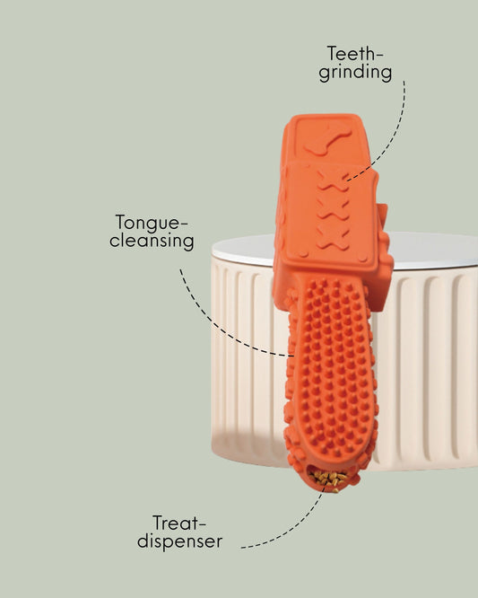 Eco-Friendly Dog Teeth-Grinder