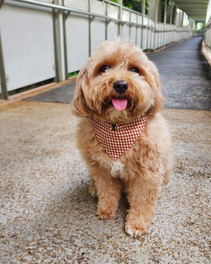 Cat & Dog Bandana- Houndstooth