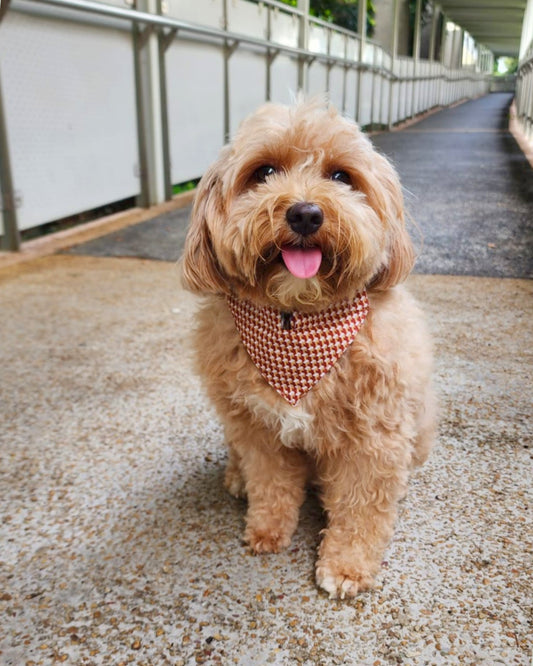 Cat & Dog Bandana in Lunar New Year print - Houndstooth