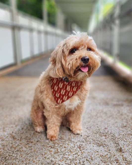 Cat & Dog Bandana in Lunar New Year print - Geometric Vintage