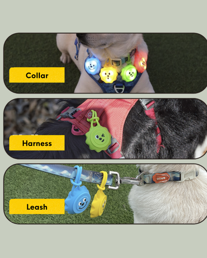 LaRoo Glow Pup Smiley LED Pet Charm