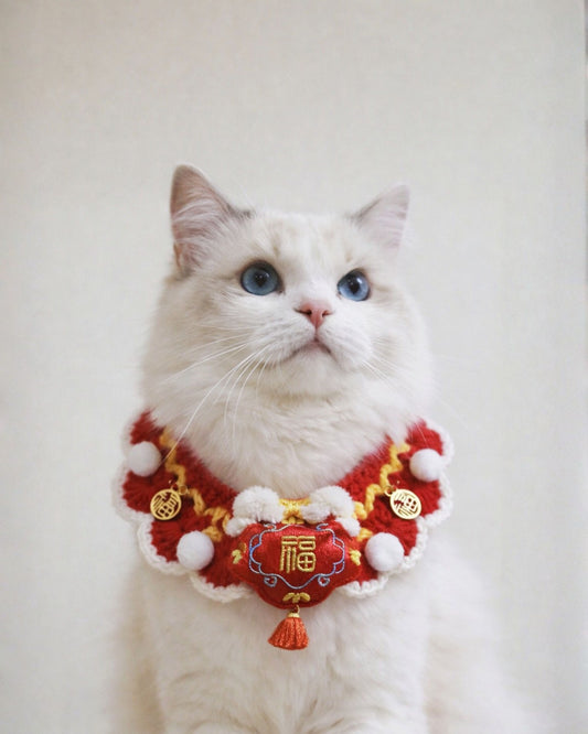 Pet Crochet Collar Blessed style