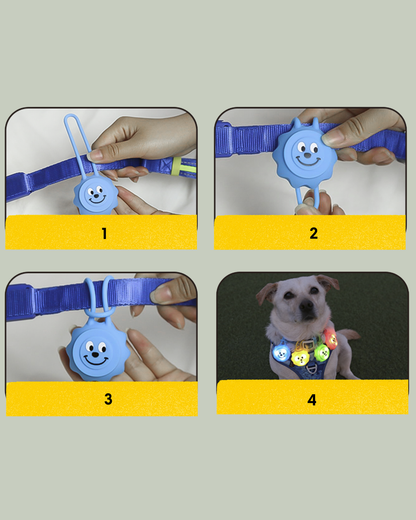 LaRoo Glow Pup Smiley LED Pet Charm