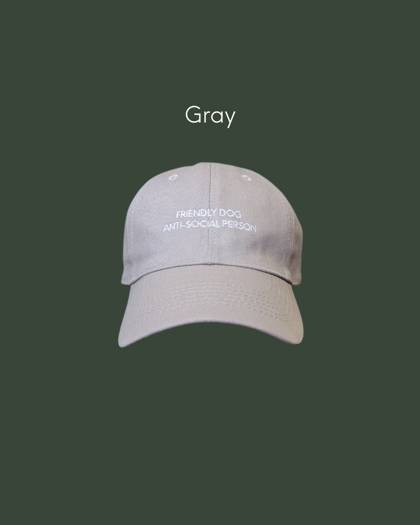 cool aesthetic cap with with humour "Friendly Dog Anti Social Person Cap" in gray 