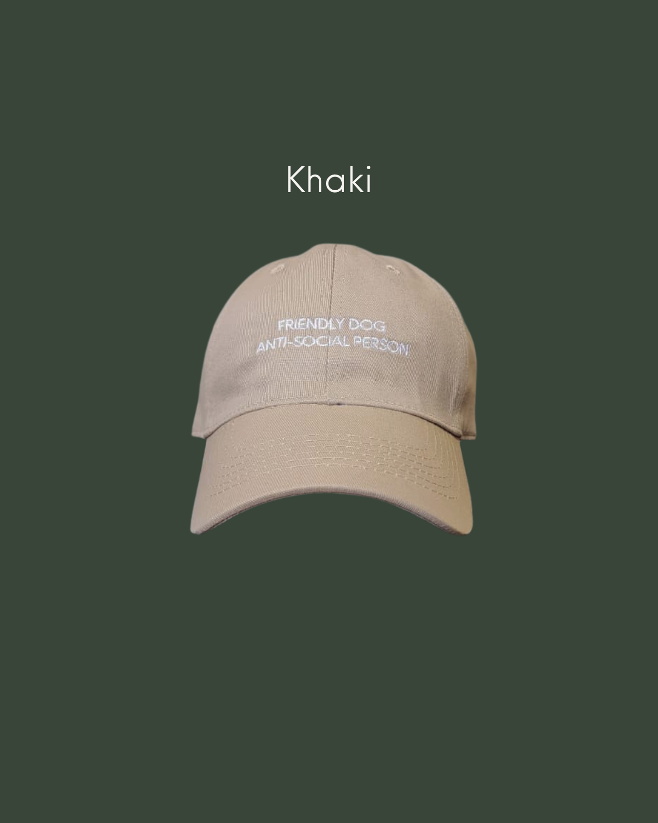 cool aesthetic cap with with humour "Friendly Dog Anti Social Person Cap" in khaki