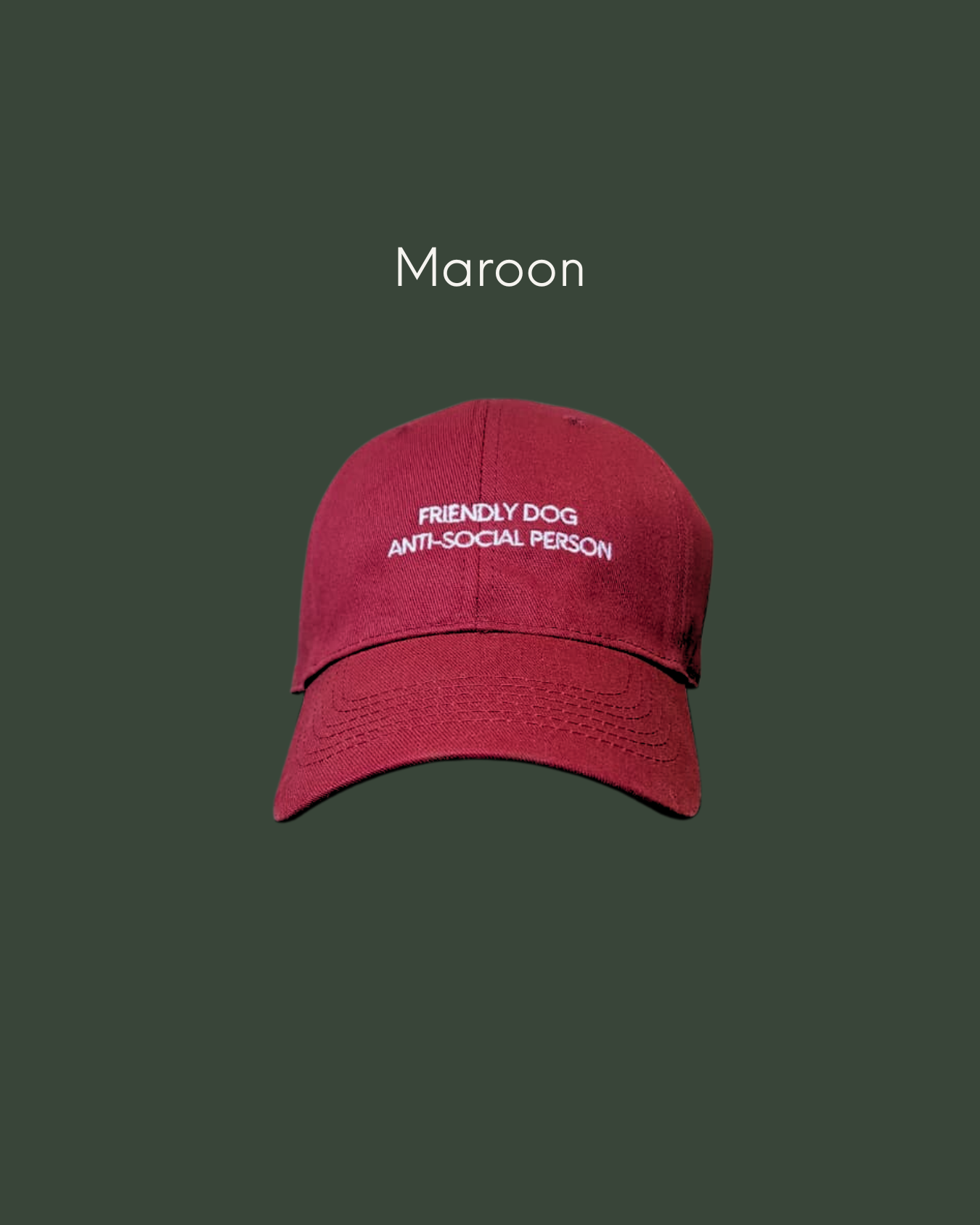 cool aesthetic cap with with humour "Friendly Dog Anti Social Person Cap" in maroon