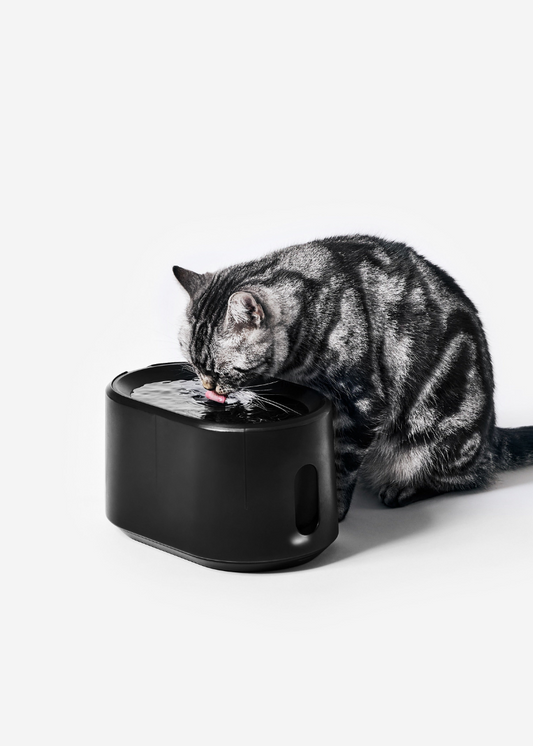 [Preorder] Mattte UVC Pet Water Fountain (Wireless-Motor)