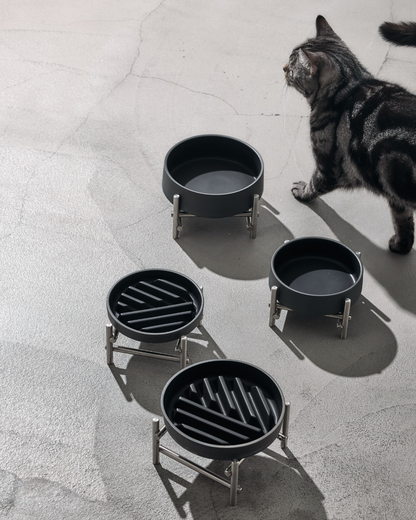[Preorder] Mattte Black Ceramic Slow Feeder Bowl