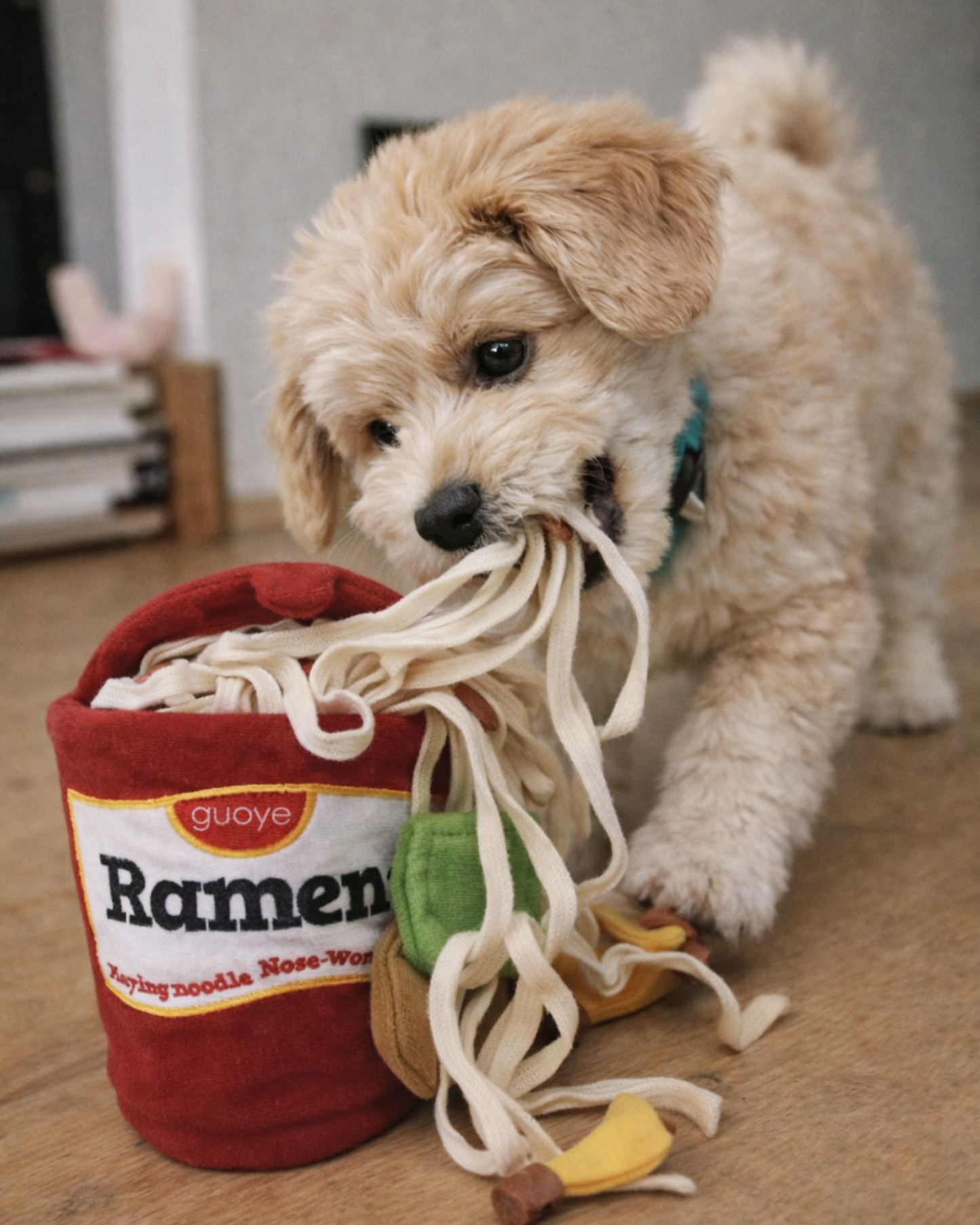 RAMEN NOODLE Snuffle Toy
