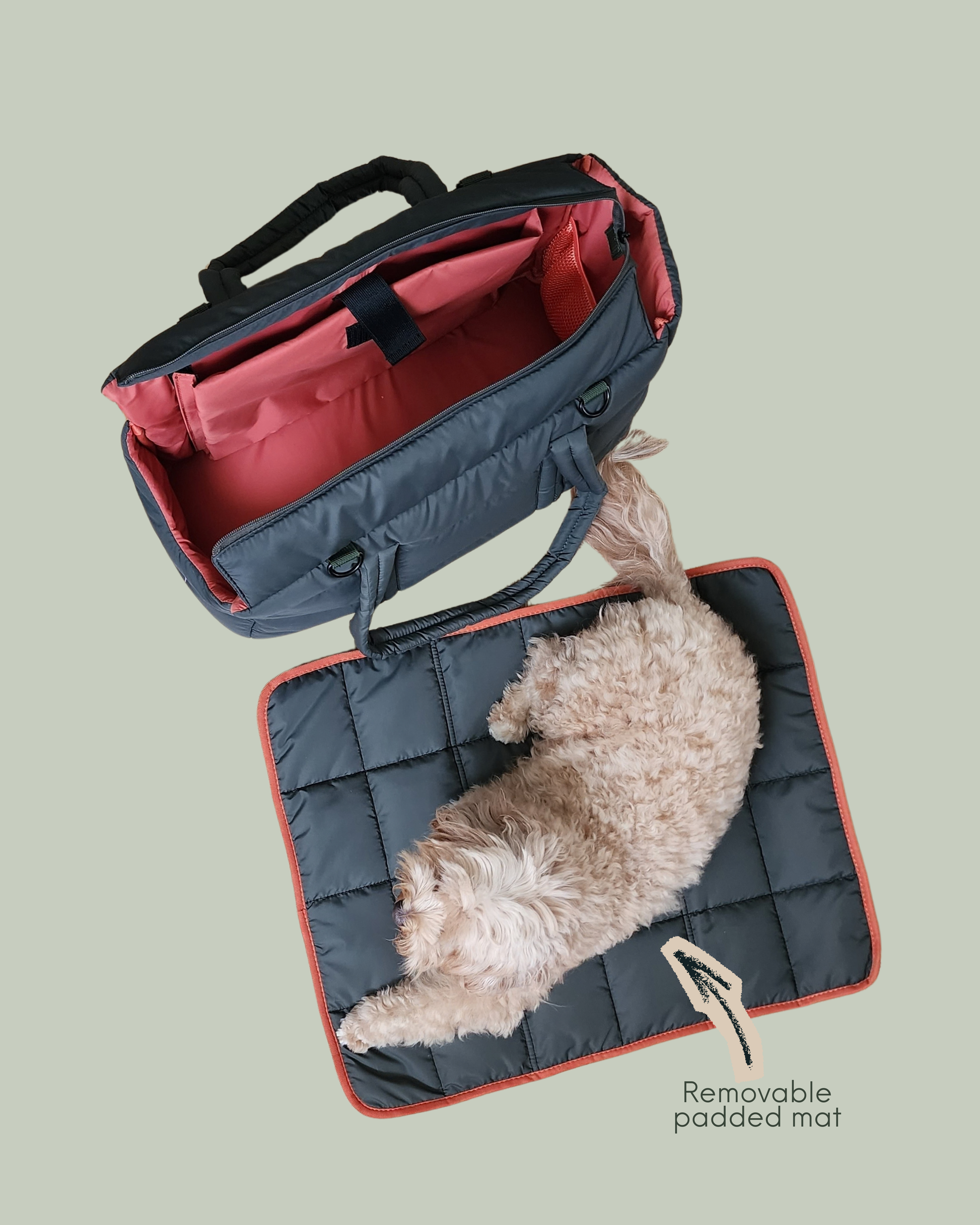 Dog lying on a removable comfortable padded floor mat matching with an aesthetic lightweight puffer pet carrier that is very comfortable for pets and dogs