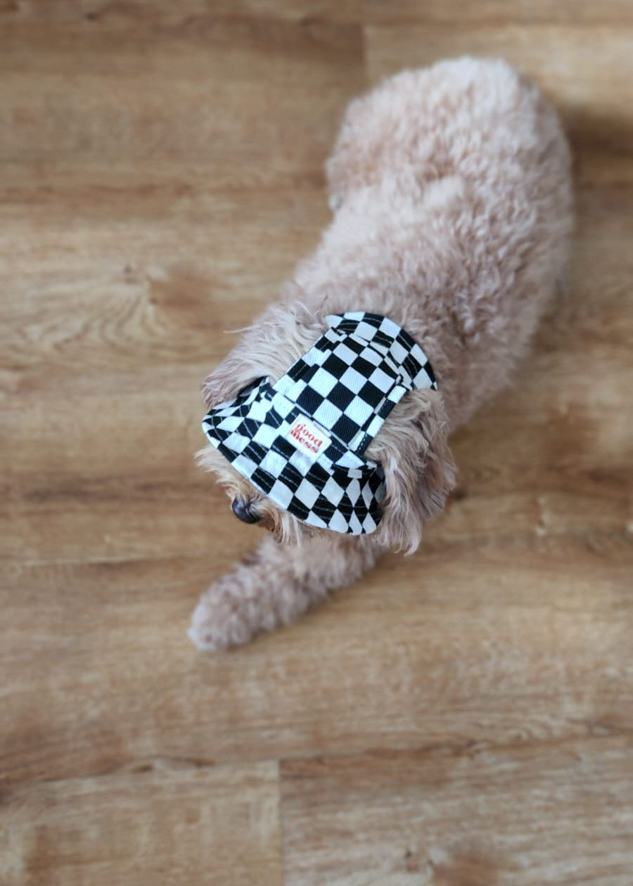 Twinning Checkered Pet Hat