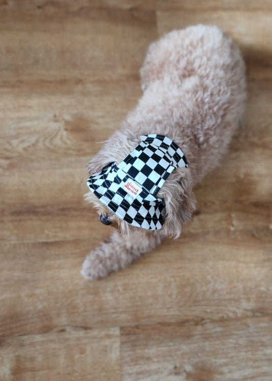 Twinning Checkered Pet Hat