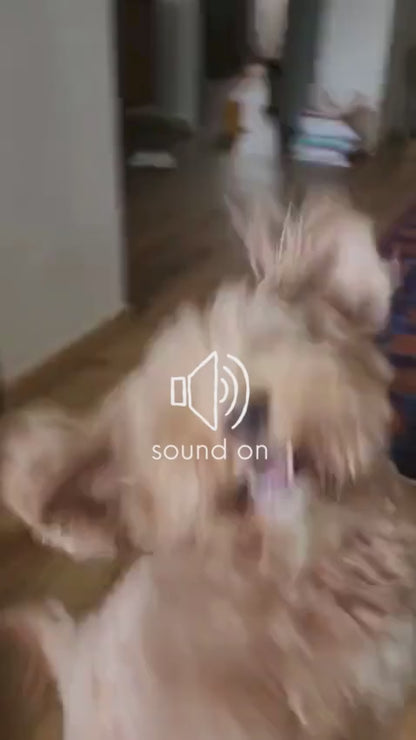 CUCUMBER FLOWER WHISTLING Cat & Dog Chew Toy