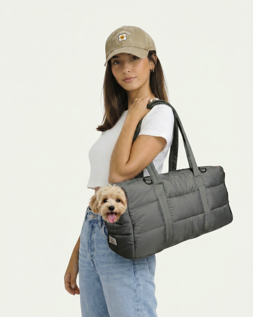 model carrying lightweight pet carrier. sturdy washable aesthetic pet bag. for dogs and cats