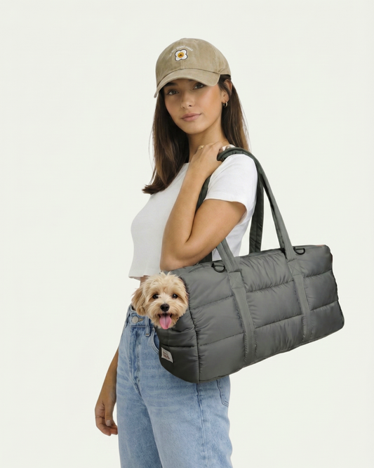 model carrying lightweight pet carrier. sturdy washable aesthetic pet bag. for dogs and cats