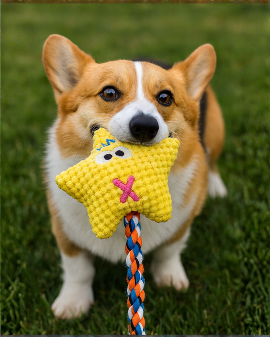 INJURED STARFISH Chew Toy