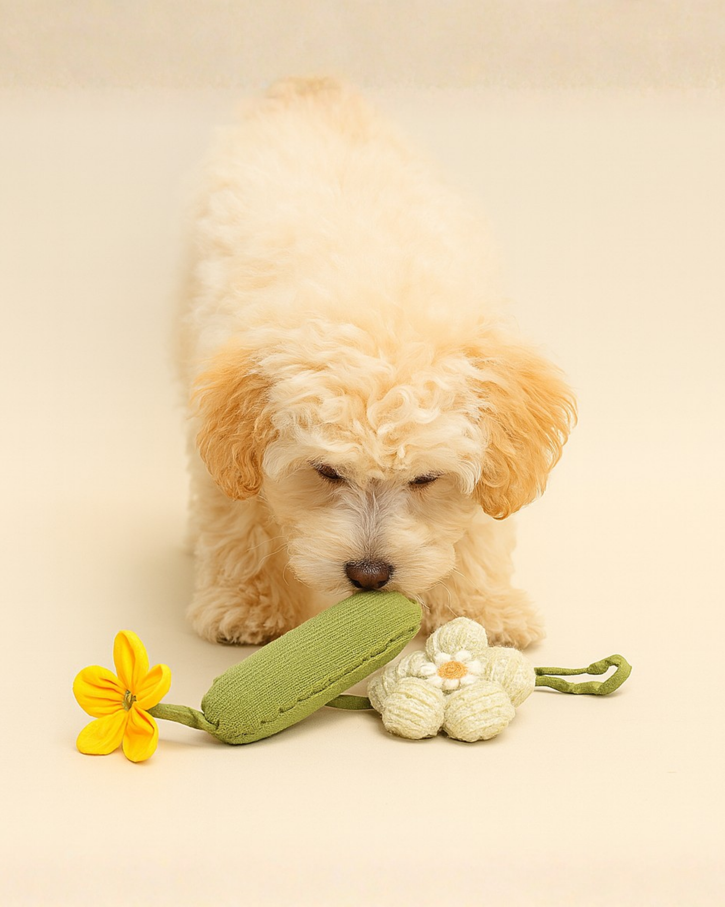 CUCUMBER FLOWER WHISTLING Cat & Dog Chew Toy